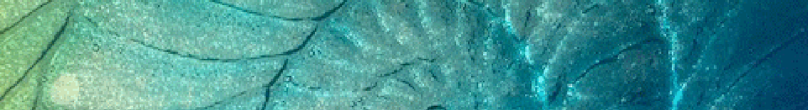 slumped glass showing indent of ammonite in blues and greens